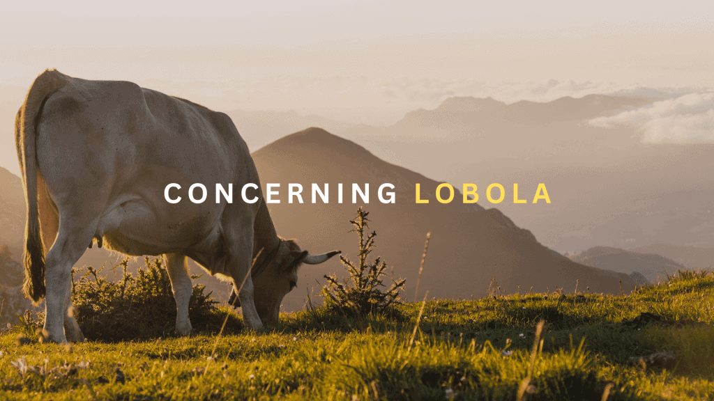 A cow grazing on a hillside with mountains in the background during sunset.